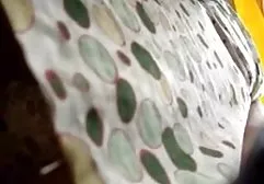 Cały film filmy erotyczne polskie amatorskie -